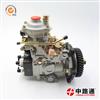 电控分配泵发动机燃油增压泵国三柴油机ve泵 WF-VE4/11F1900L002