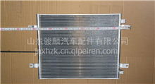格尔发-6 散热器 散热网 冷凝器 冷凝板散热片格尔法-6
