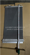 解放JH06 KH6冷凝器 冷凝板散热片 散热网冷凝板8105010-1900