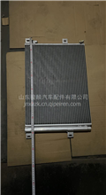 霸龙 冷凝器 冷凝板散热片 散热网冷凝板霸龙507/TP401M3-8105010B