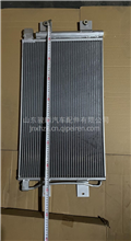 天龙K2KL冷凝器 冷凝板散热片 散热网冷凝板8108010-C3300