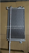重气豪沃16款冷凝器 冷凝板散热片 散热网冷凝板WG1642821074/2