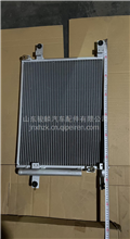 解放悍威 冷凝器 冷凝板散热片 散热网冷凝板3511020-DV404N