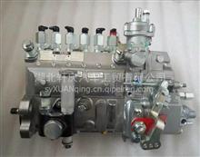 康明斯M11电控发动机燃油泵   40639684063968
