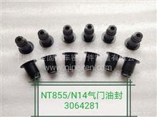 NT855/N14气门油封（氟橡胶）3064281