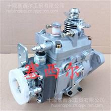 适用于东风柴油发动机高压燃油泵喷射泵VP411E1800R0010002070001