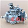 适用于福田JX493D柴油发动机高压燃油泵喷射泵VE411F1500LNJ01 000106BV42D