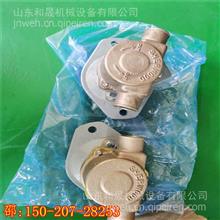 G28-G发电机组3004795水泵 康机30099703009970