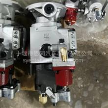 重庆康明斯发动机K2046-KTAA19-610kW发电机组用PT燃油泵4915474