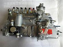 3655993适用于重庆康明斯发动机 工程机械 燃油泵3655993