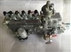 4060286-20适用于重庆康明斯发动机 工程机械 燃油泵/4060286-20