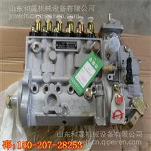 6L燃油泵C5266067广西柳康DCEC产品C52581545258154