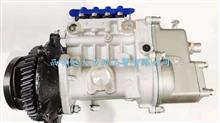 原装油泵4102 4AW517   原装正品 优势批发4102BZ-A11K.16.10