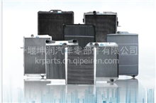 东风商用车铝散热器总成 铝散热器铝塑水箱总成1301010-LD01011301010-LD0101