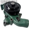 适用于解放J6P原厂水泵总成发动机冷却泵6DM锡柴发动机散热器水泵/1307010-81D