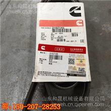 南京进口配件3102145 TR50特雷克斯QSX发电机皮带3102145