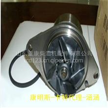 四川广汉康明斯发动机水泵惰轮3864919 柴油机水泵3864919