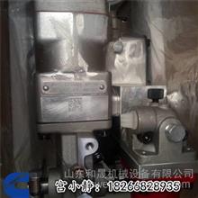 柴油PT泵4951501（山推SD22）重康高压油泵山东仓库4951501-20