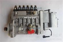 BYC 6CTA8.3-G2高压油泵/喷油泵4941011 104037161054941011