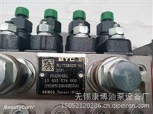 10403574008BYC高压油泵T732082301004G