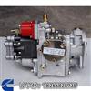 QSM11港口设备柴油机高压油泵3098353重康重油PT泵支架3090993/3098353-20