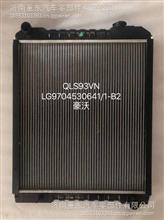 LG9704530641重汽豪沃HOWO轻卡散热器总成 LG9704530641