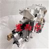 用于工程机械KTA38 KTA50发动机PT燃油泵总成3095502/ 3095502
