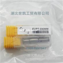 单体泵配件电控泵芯子 EUP7.030EUP 7.030