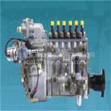PS3000系列燃油喷射泵 重庆燃油系统 石家庄康明斯发动机配件 PS3000