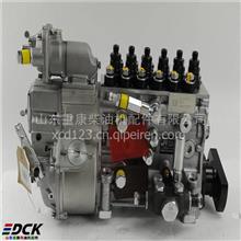  重汽燃油泵VG1096080160 长沙供应VG1096080160