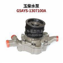 水泵 G5AYS-1307100AG5AYS-1307100A