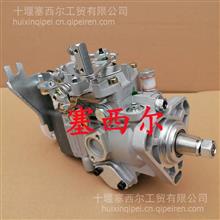 适用于工程机械发动机燃油泵  柴油喷射泵10F1050RNP2614/10F1050RNP2614