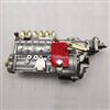 【3912643】Bosch 6CT燃油泵（210P）  博世/3912643 