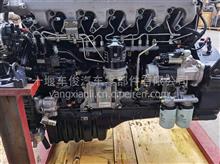 发动机总成dCi465－51(ly)dCi465－51