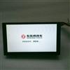 东风USB记录仪 HP202009161551