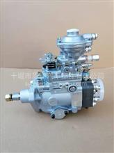 适用康明斯发动机VE4/11E1200R141油泵（侧置 ）0002060141