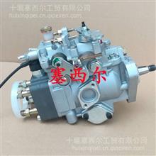 适用于工程机械发动机燃油泵总成  柴油喷射泵22100-5C031/22100-5C031