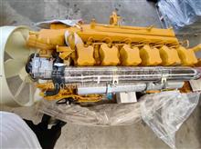 WD12.375潍柴大泵发动机总成(wzm)WD12.375