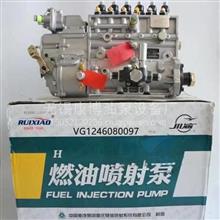 重汽D12燃油喷射泵/重汽发动机高压油泵CB6H934 豪沃A7 VG1246080097 VG1246080097
