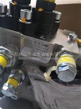 重庆油泵2E916D/1RDK00-1111100A-538中国重汽CB2E916D