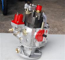 重庆康明斯发动机配件NT855-C280-BC3燃油泵PT泵3165797 31656923165797 
