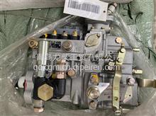 龙泵配套天津雷诺帕金斯高压油泵BP5567T832089145