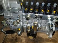潍柴配装载机工程机械高压油泵BP12R4612601080575