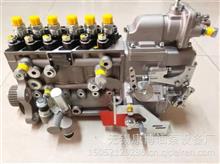 BH6FP中国重汽燃油喷射泵总成L3E00-1111100A-538 工程机械燃油泵CB6P657ACB6P657A