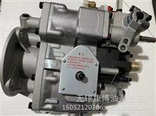 康明斯PT燃油泵总成C.4951495适用K1146-非道路Ⅰ发动机 30219614951495