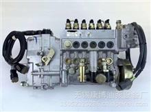 三菱发动机6D24柴油泵159620-6421 107069-0680高压油泵159620-6421