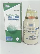 燃油滤清器	Fuel Filter For Liugong 53C0436 J221-05A-011000 5290009 60208959 FF36220 4297154 FS19816FS19816