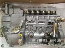 龙口龙泵 BP5854  P10Z005编号BH6P110匹配ZS535用于上海柴油机C6121ZG57燃油泵BP5854