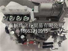D10LD-1111100A-483R高压油泵B4PN98W3-R玉柴G001008780D10LD-1111100A-483R