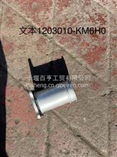 厂家直销东风天龙、天锦、大力神消声器进气管  消声器进气管总成  1203010-KＭ6Ｈ0